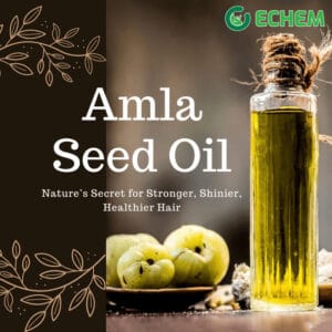 Amla Seed Oil-100 ml